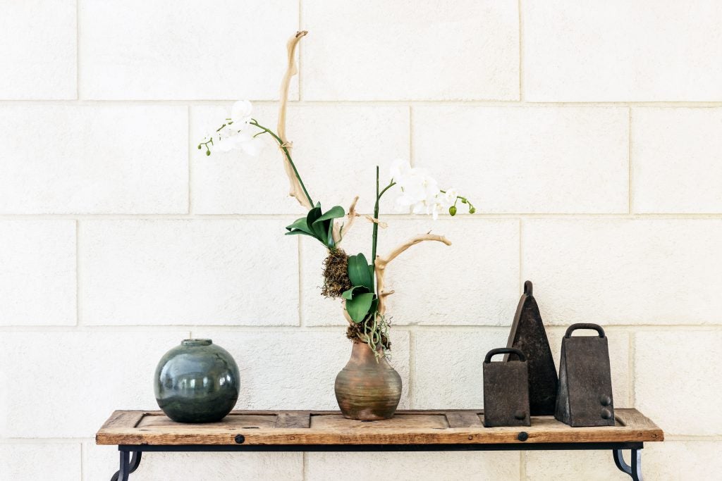 The classic white orchid always gives that subtle elegance to any space.