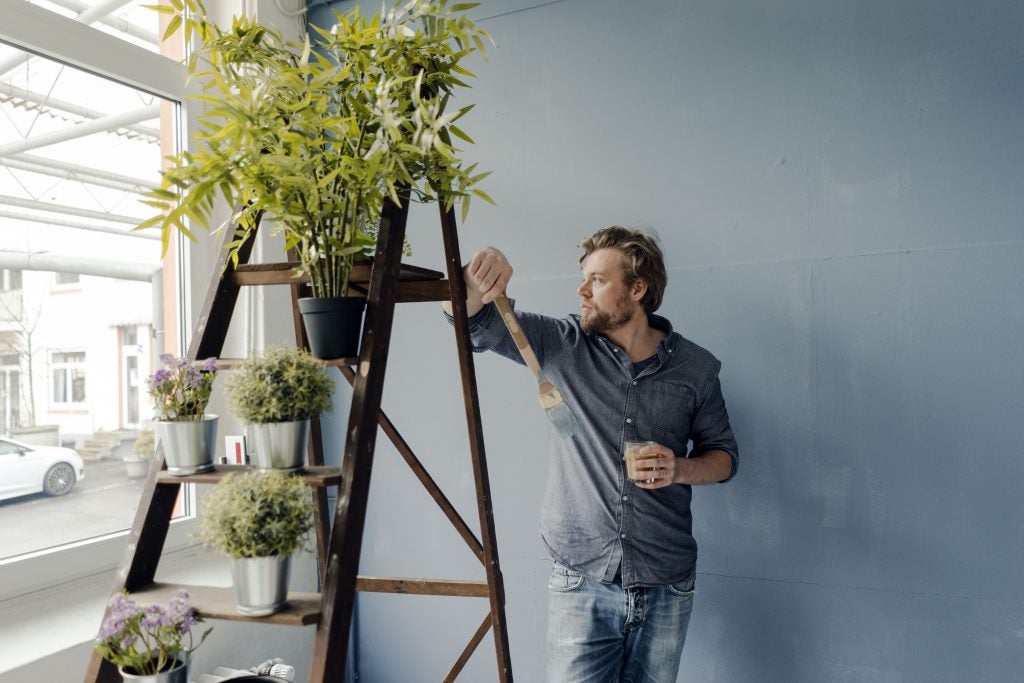 Some plants act as air purifiers. See our air purifying plants collection. Some plants act as air purifiers. See our air purifying plants collection.