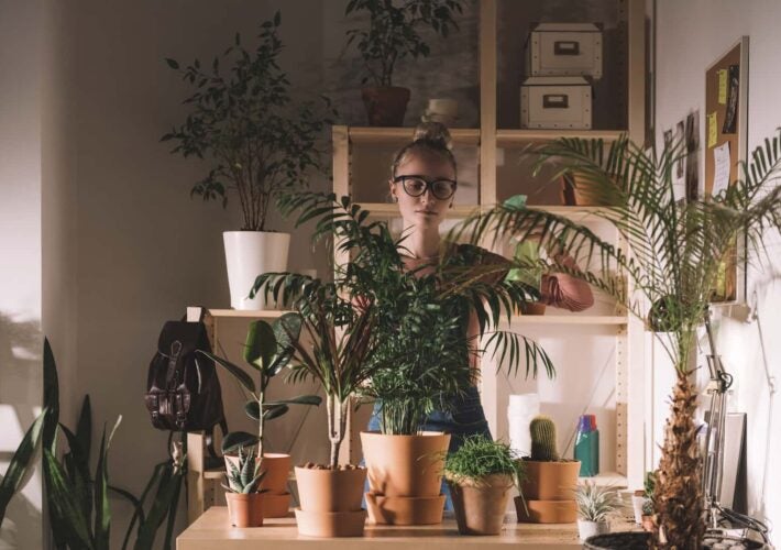 Woman watering plants