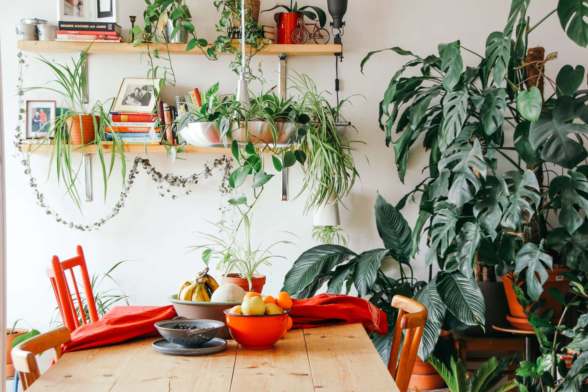 Table in room covered in plants