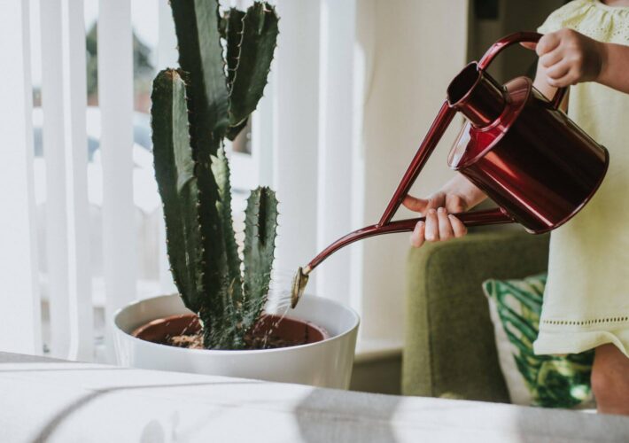 Woman watering a cactus with a watering can