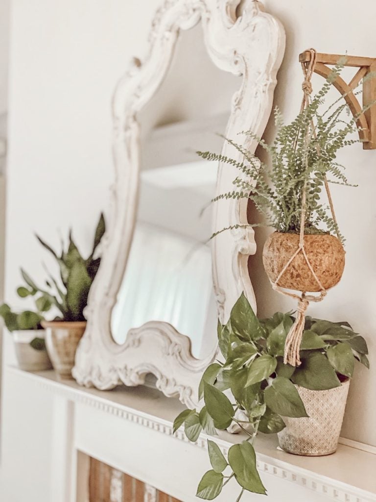 Lemon Button Fern Kokedama hanging over ledge