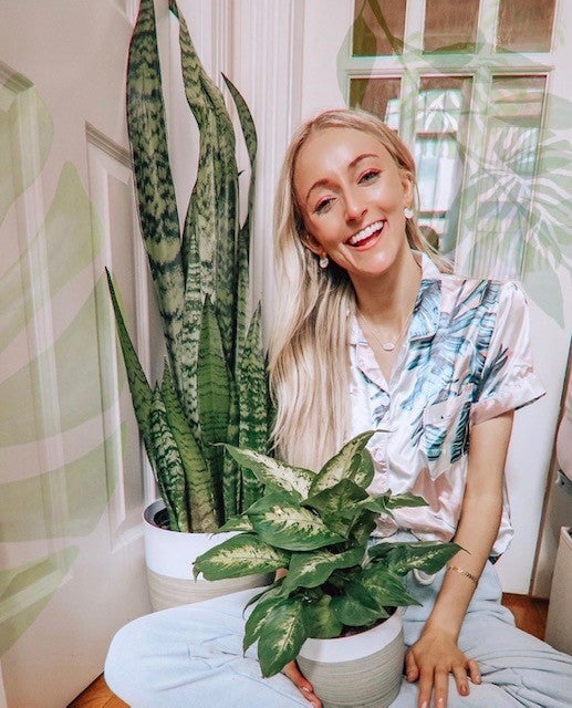 SNAKE PLANT (SANSEVIERIA) and DIEFFENBACHIA PLANT (DUMB CANE) SNAKE PLANT (SANSEVIERIA) and DIEFFENBACHIA PLANT (DUMB CANE)