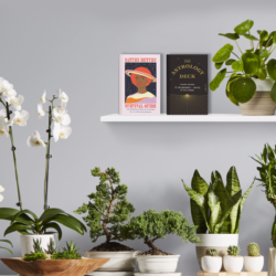 The Household Plant You Should…