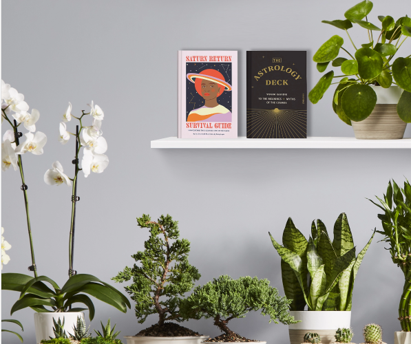 The Household Plant You Should Own, Based On Your Sun Sign