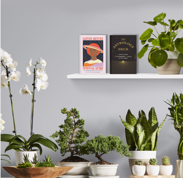 The Household Plant You Should Own, Based On Your Sun Sign