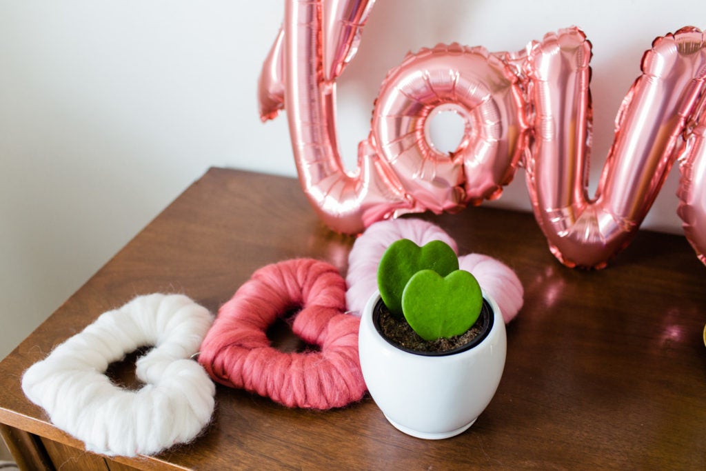 The 6 Best Plants to Gift for Valentine’s Day The 6 Best Plants to Gift for Valentine’s Day