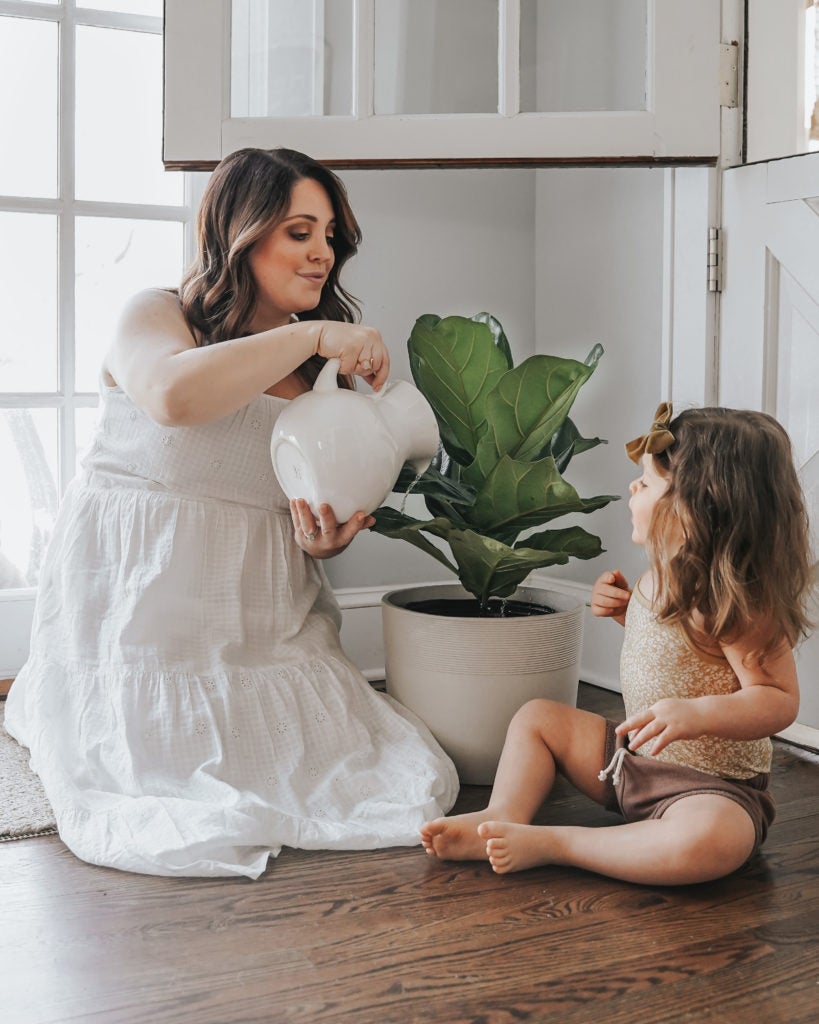 Mother and child watering Fiddle Leaf Fig Mother and child watering Fiddle Leaf Fig