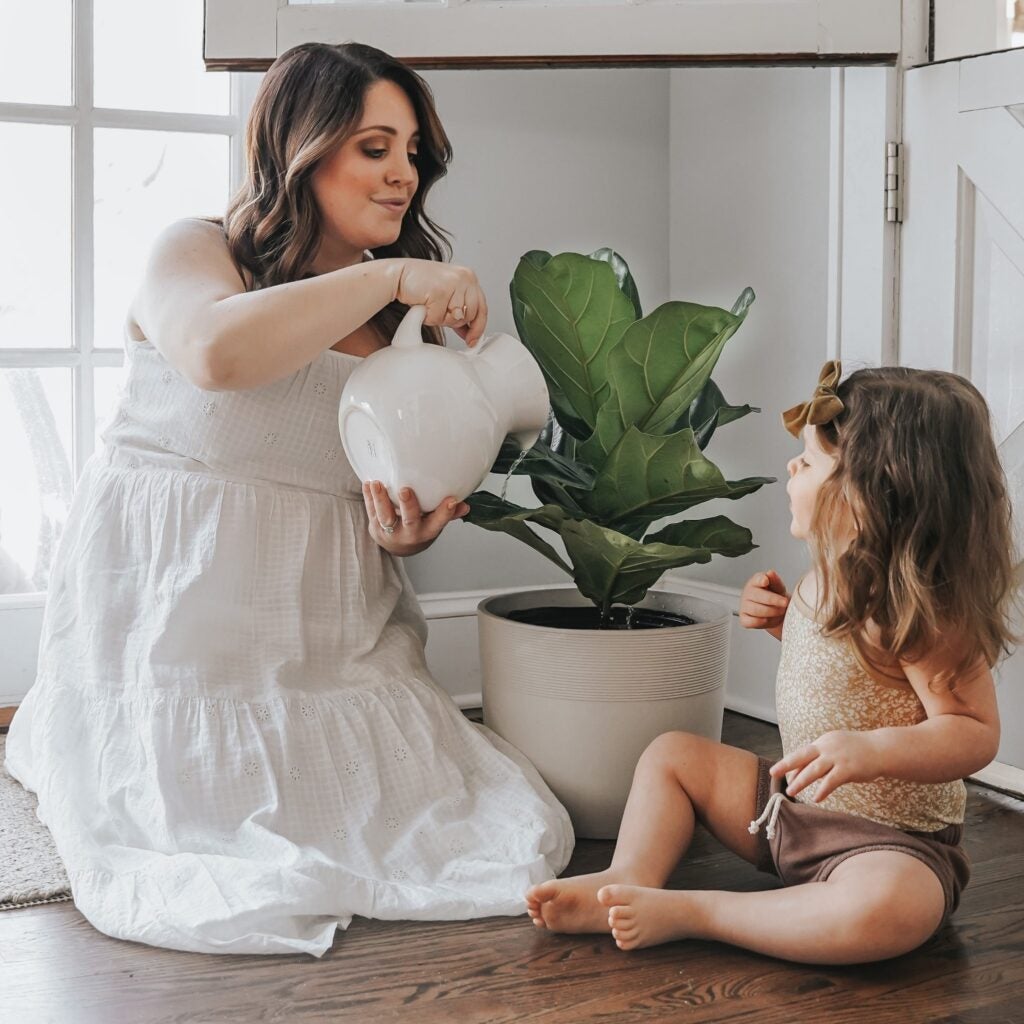 Mother and child watering Fiddle Leaf Fig