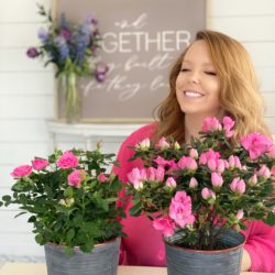 Why Plants Make Great Mother’s…