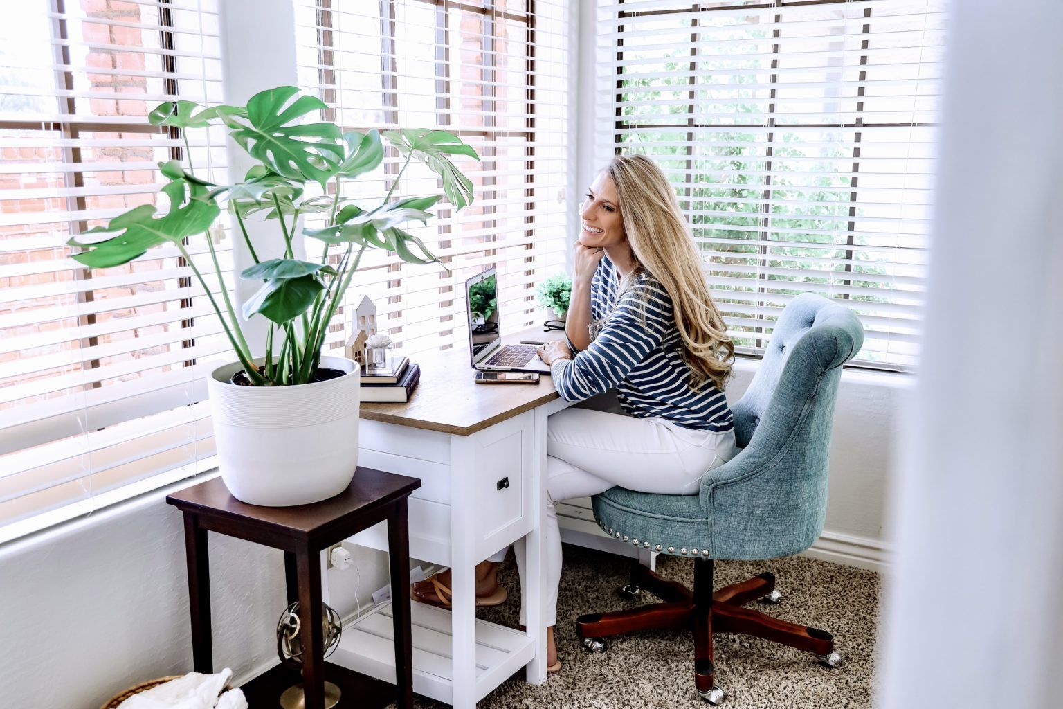 5 Best Plants for Your College Dorm Room by