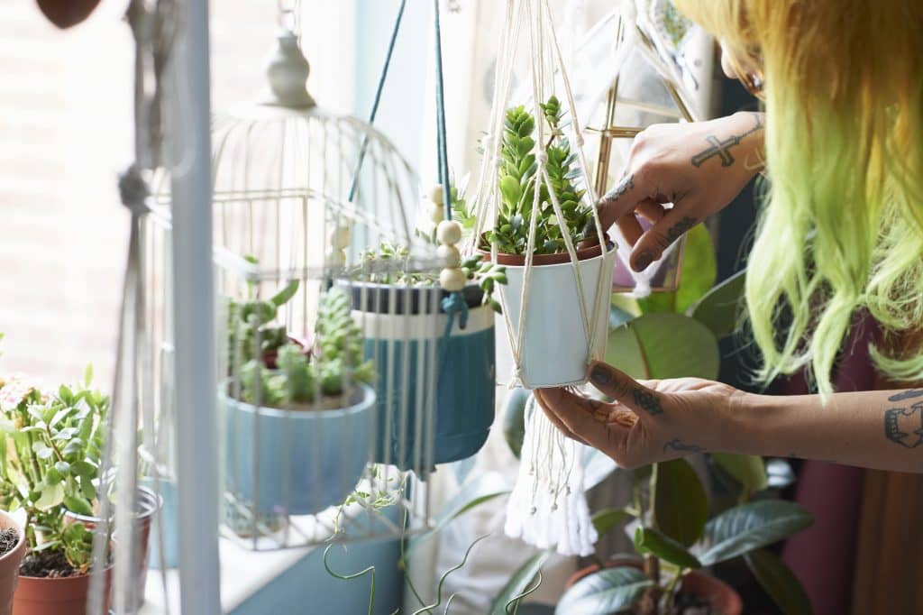 Hanging plants can also include easy care varieties, just don't hang them somewhere that's inaccessible for watering. woman tending to plants near window