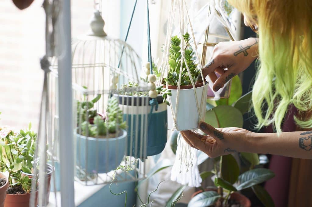 woman tending to plants near window