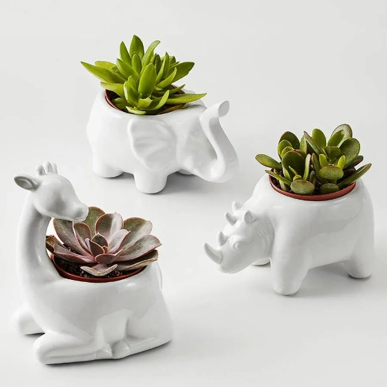 Safari themed ceramic planters with succulents inside