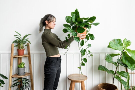 Woman holding up an overflowing plant Woman holding up an overflowing plant