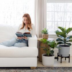 11 Most Popular Plant Types