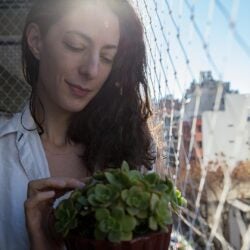 Fall Plant Care: Tips for…