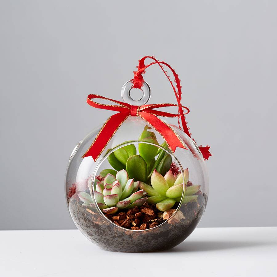 Succulent Terrarium Ornament