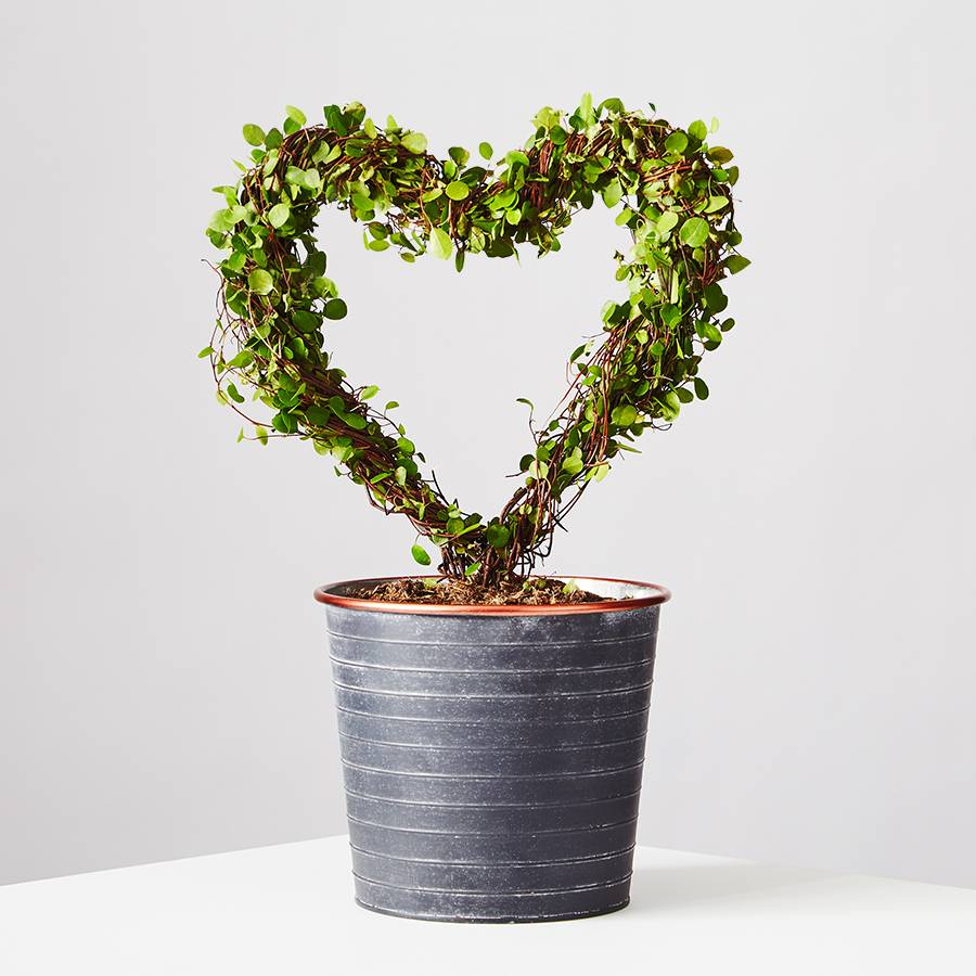 Heart Shaped Topairy