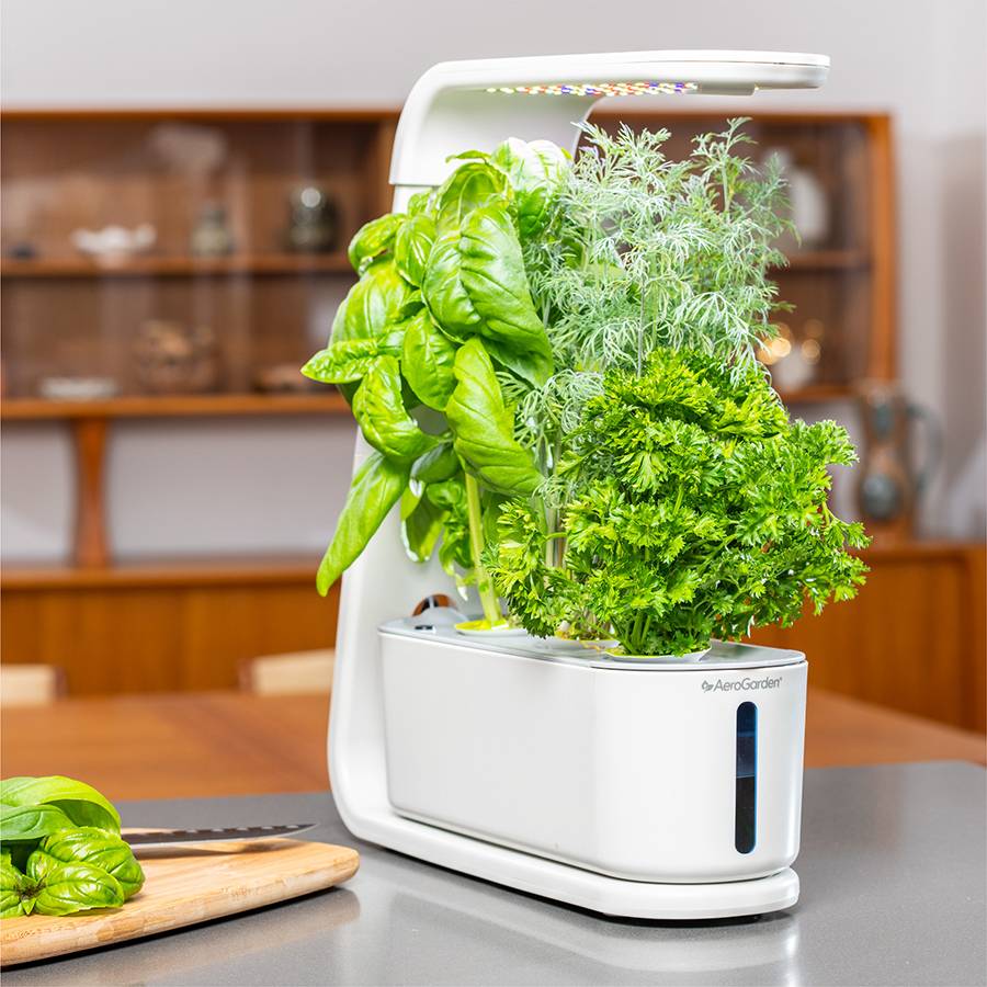 Sprout AeroGarden