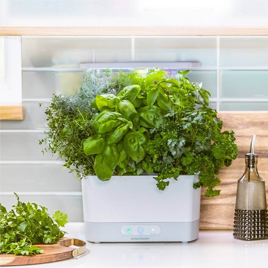 Harvest AeroGarden
