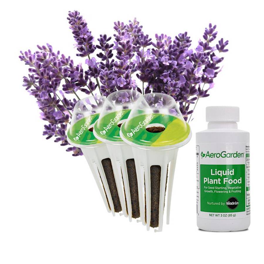 AeroGarden Lavender Pods