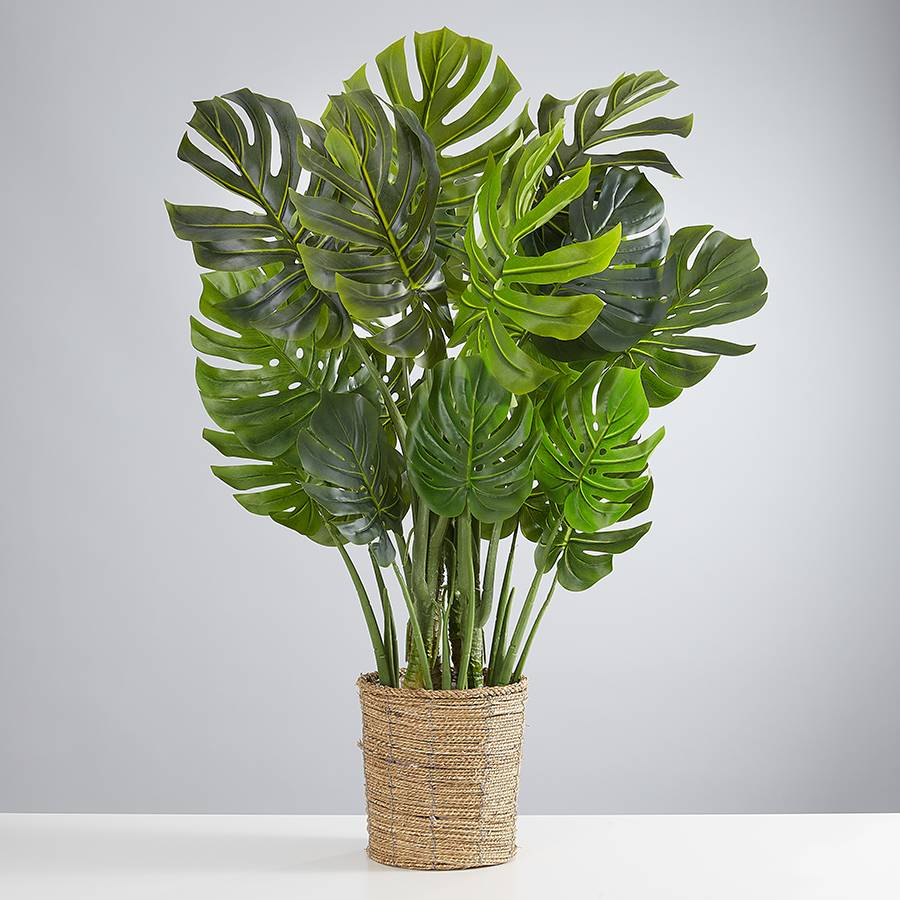 Faux Monstera Plant