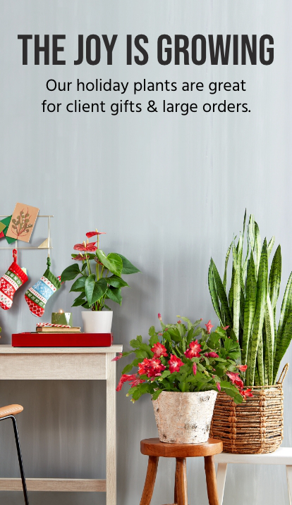 mobile-corporate-gifting-details