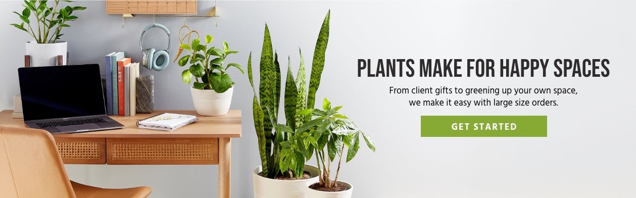 corporate-gifting-details