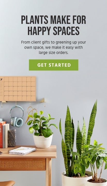corporate-gifting-details