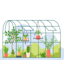 Straight from the greenhouse to your door
