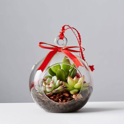 Succulent Terrarium Ornament