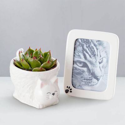 Perabella House Warming Gifts New Home, Housewarming Presents Women Couple  3 Succulent Pots 